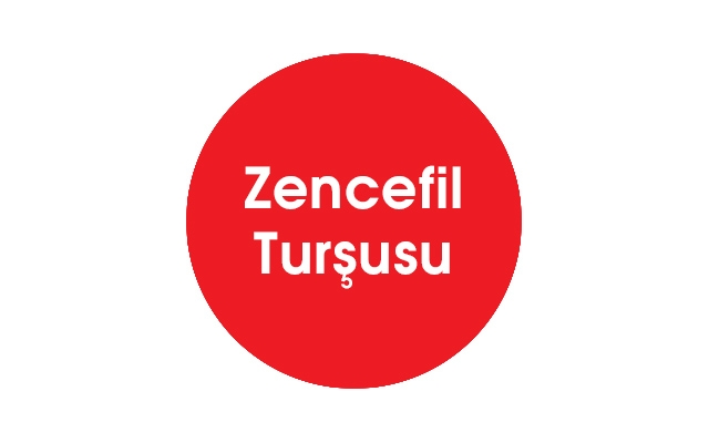 Zencefil Turşusu
